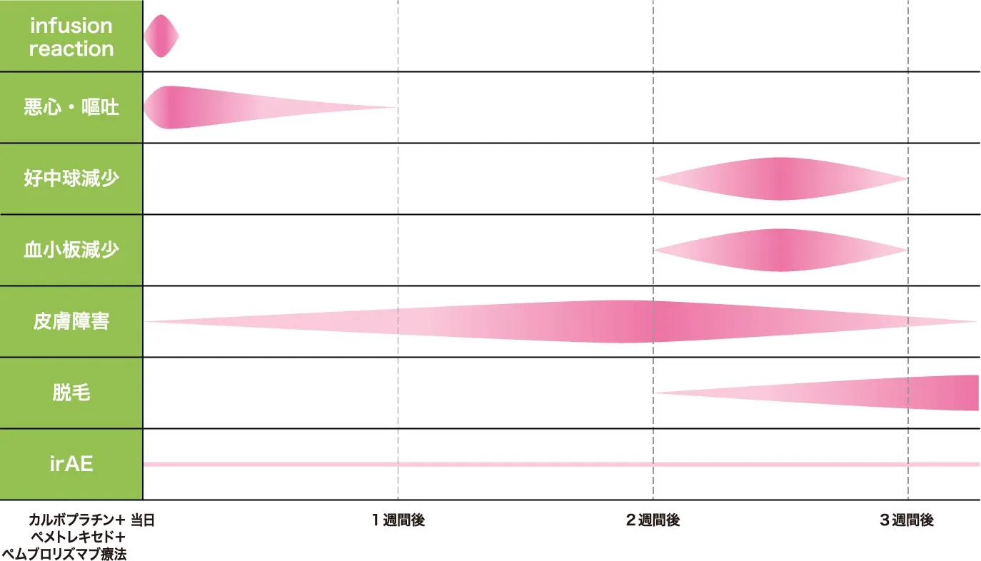 【副作用の出やすい時期と相対的頻度のイメージ図】
