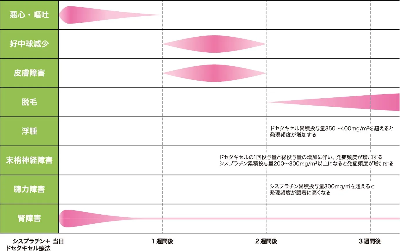 副作用の出やすい時期と相対的頻度のイメージ図