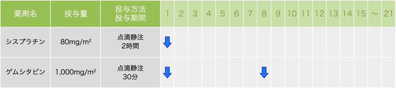 シスプラチン＋ゲムシタビン療法