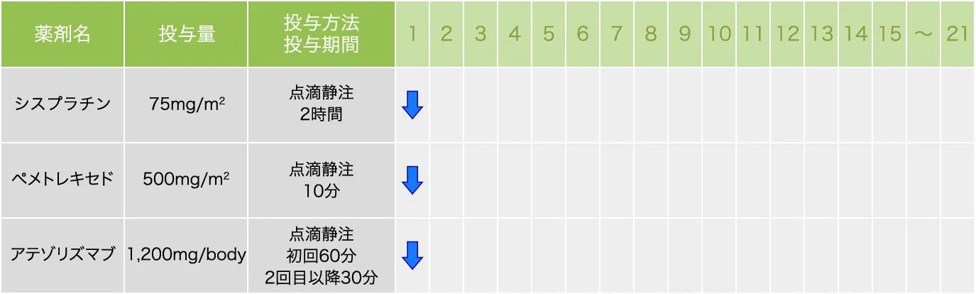 シスプラチン＋ペメトレキセド＋アテゾリズマブ療法