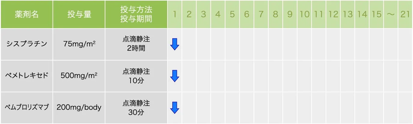 シスプラチン＋ペメトレキセド＋ペムブロリズマブ療法