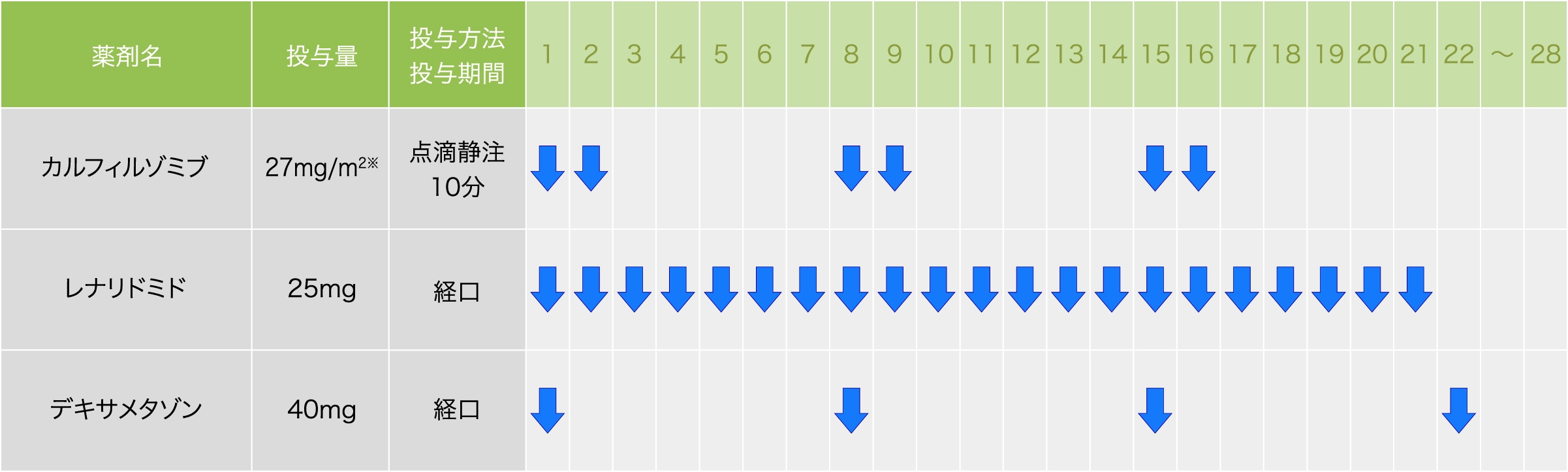 KLd療法・1～12コース目