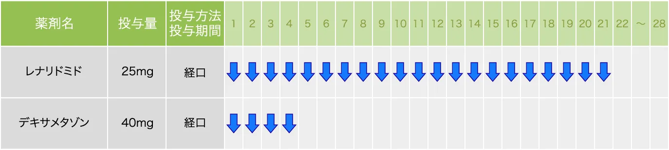 Ld療法（再発・難治性の場合）・5コース目以降