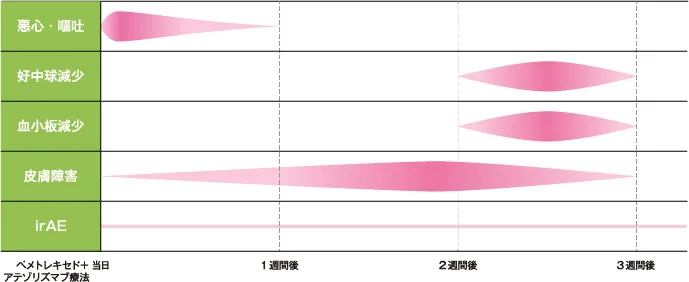 【副作用の出やすい時期と相対的頻度のイメージ図】