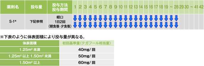 S-1単剤療法 ※下表のように体表面積により投与量が異なる。