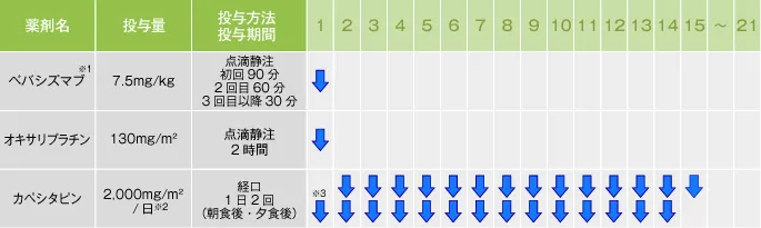 XELOX(CapeOX)&plusmn;Bev 療法