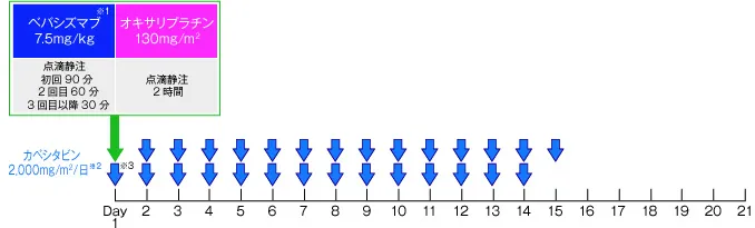 XELOX(CapeOX)&plusmn;Bev 療法