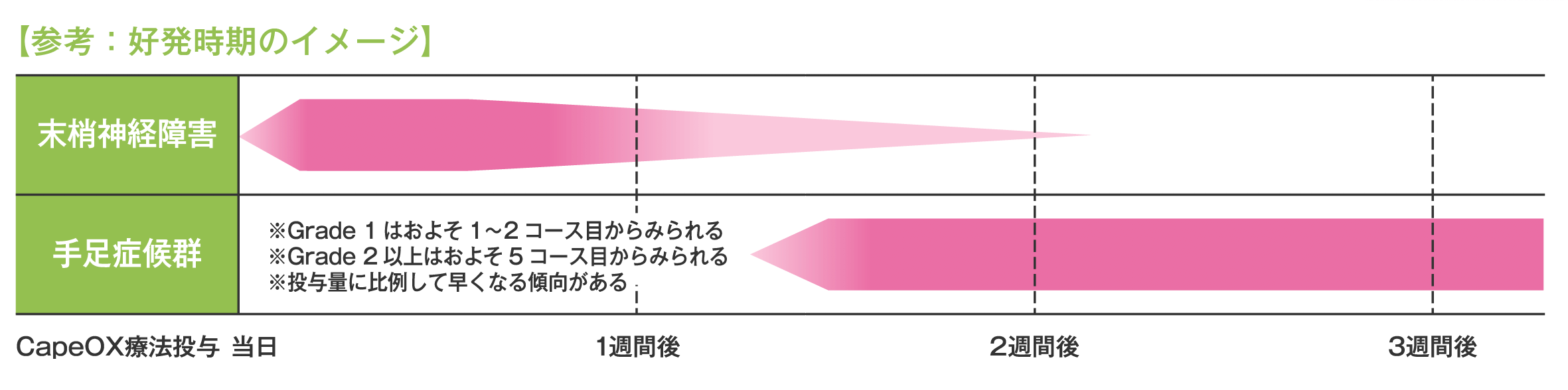 参考：好発時期のイメージ