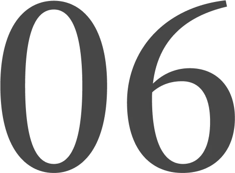 06