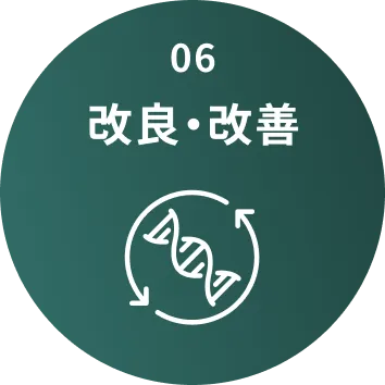 06 改良・改善